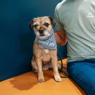 all-groups